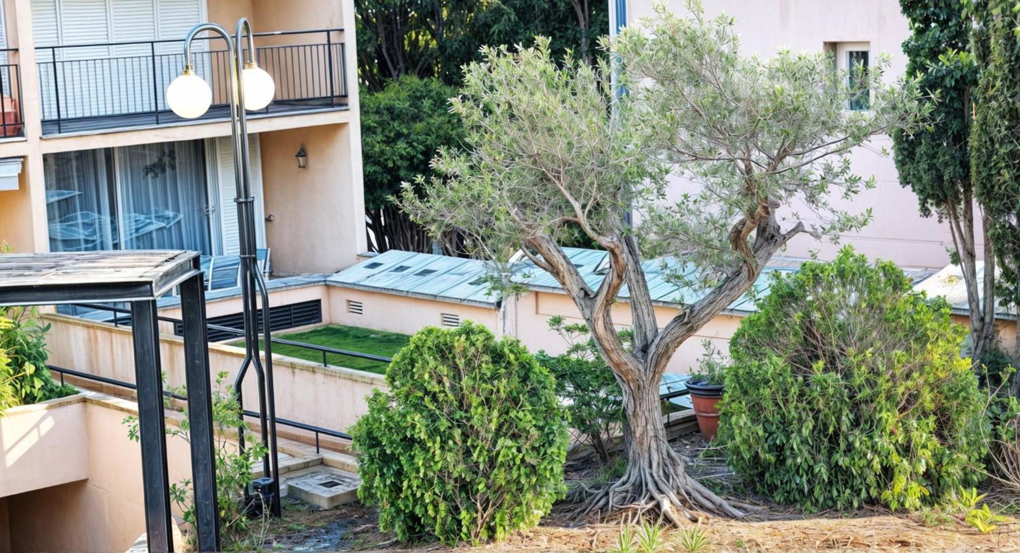 Precioso Apartamento Reformado En 1Ra Linea De Mar Sin Vistas Калея де Парафругел Стая снимка